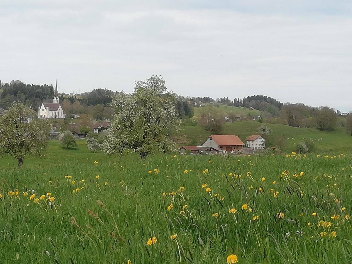 Billenberghof Lägenhet St. Gallen Exteriör bild