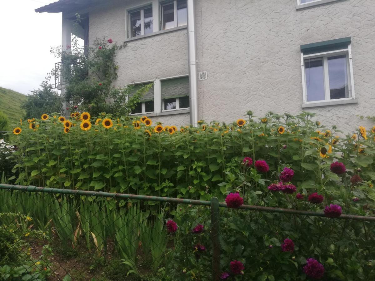 Billenberghof Lägenhet St. Gallen Exteriör bild